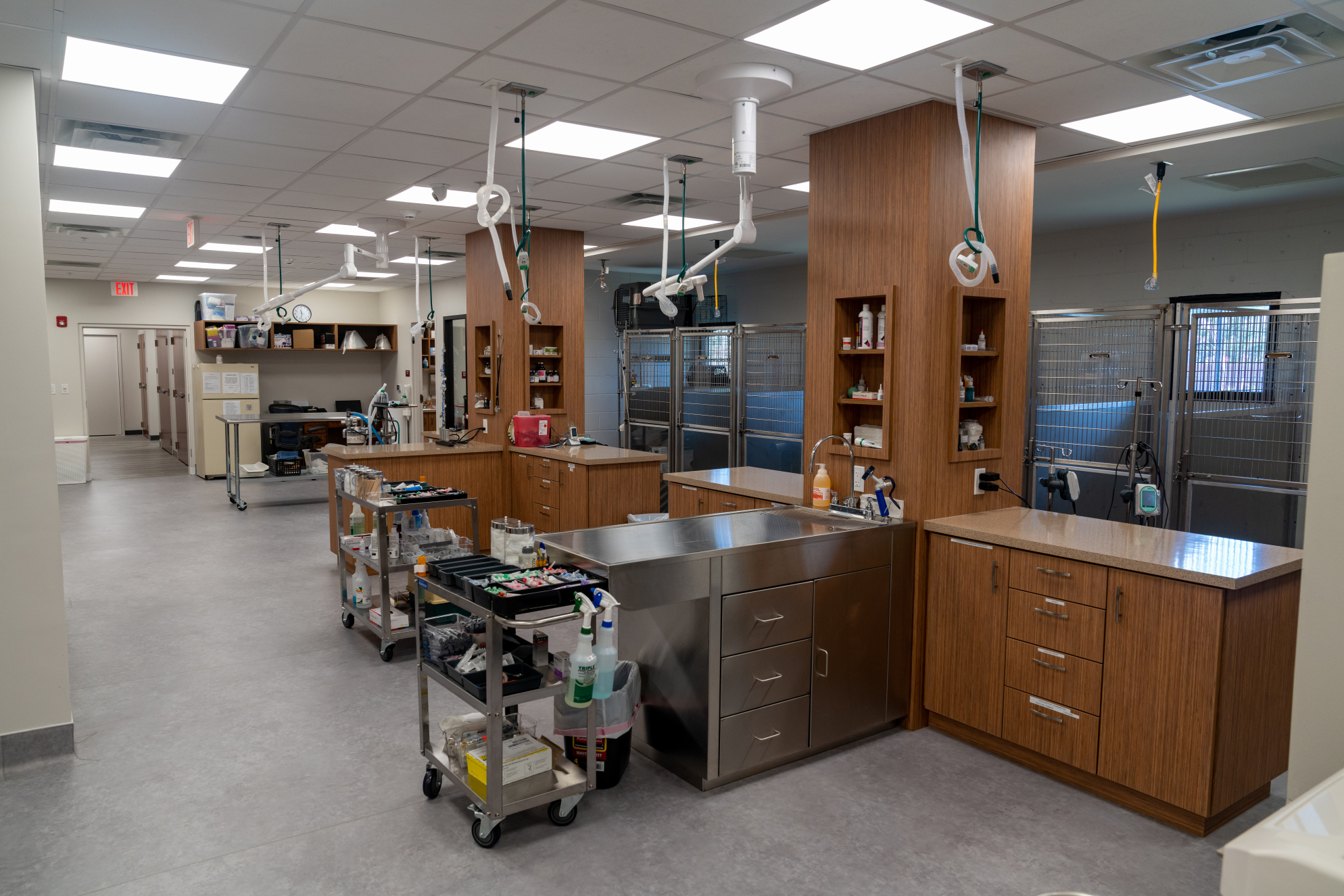 Sand Lake Animal Clinic - Gallery Image