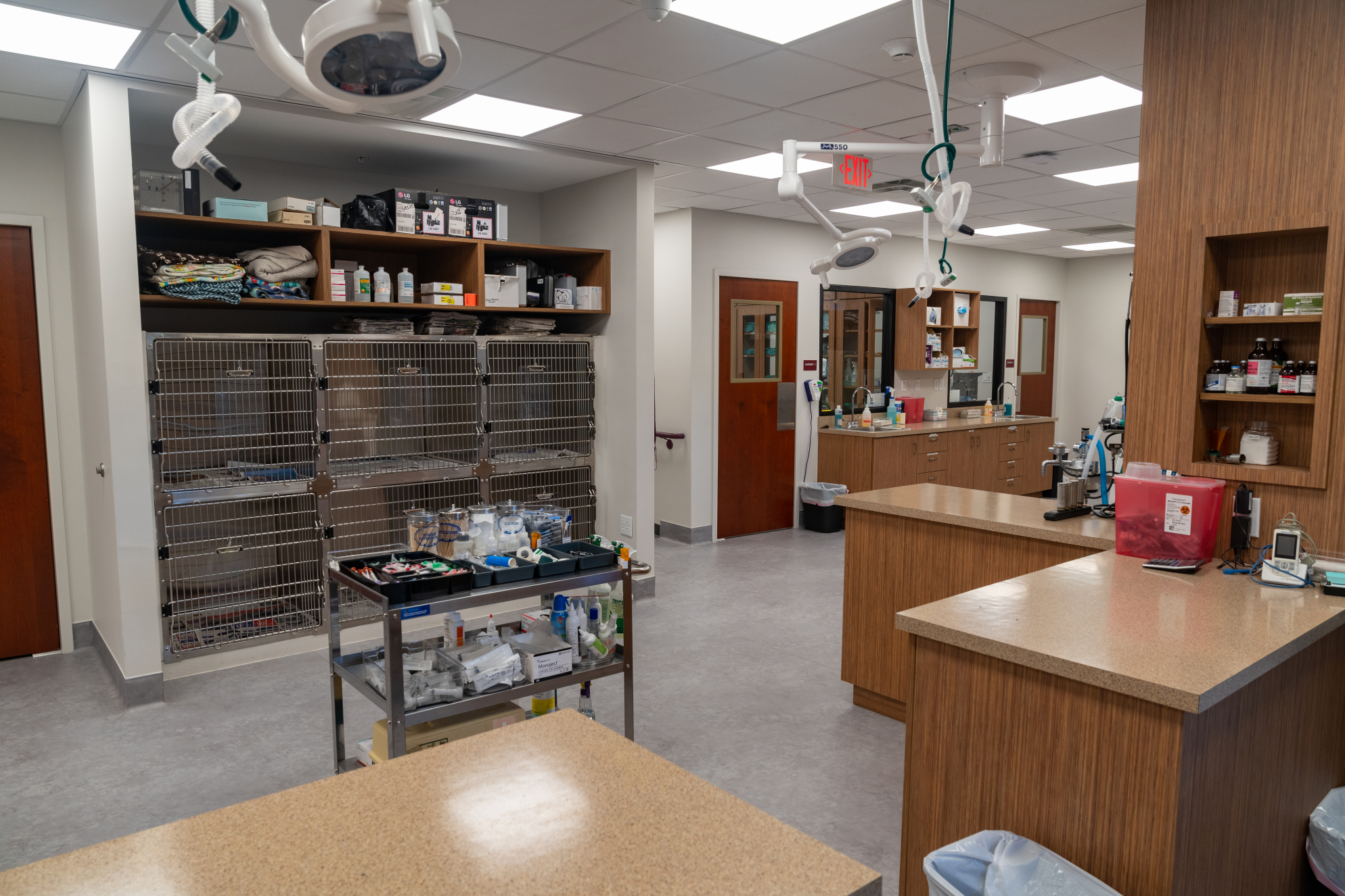 Sand Lake Animal Clinic - Gallery Image